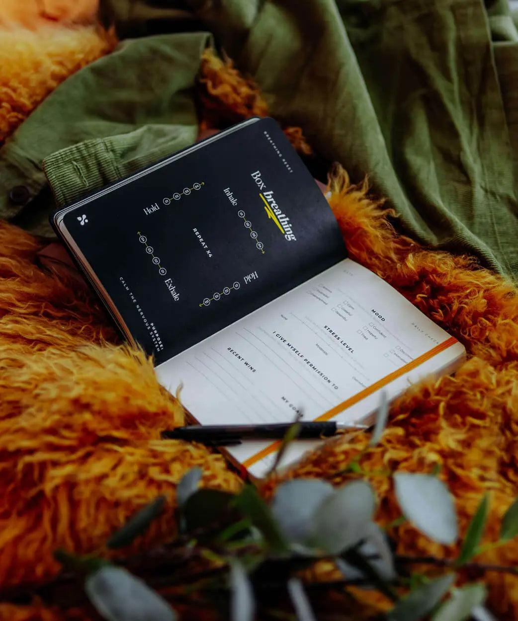 Volume 01 Thrivemind Journal