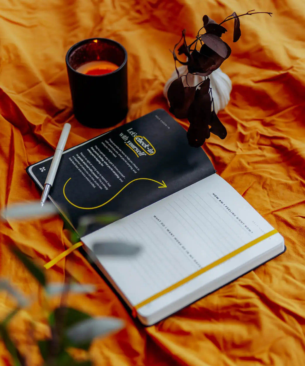Volume 02 Thrivemind Journal