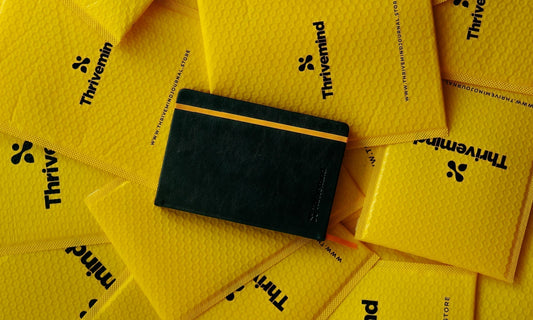 Behind the Scenes: Thrivemind Journal