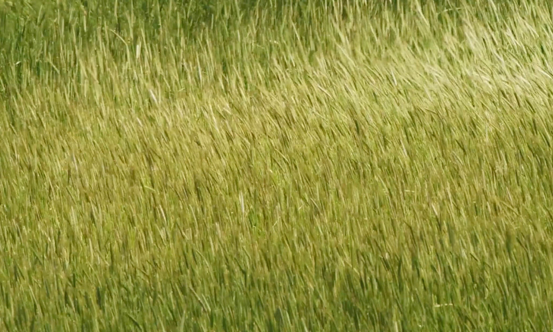 Two Deep Breaths to Reset