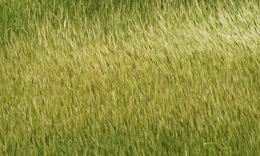 Two Deep Breaths to Reset