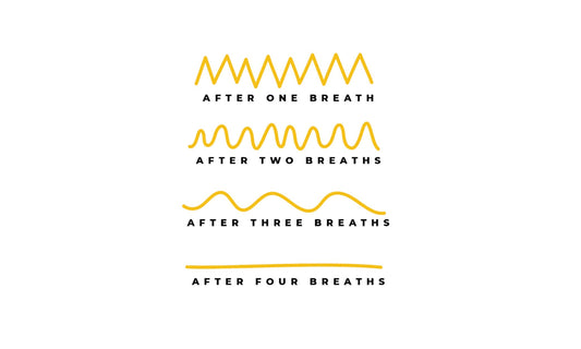 The Science of a Simple Pause with Breathing