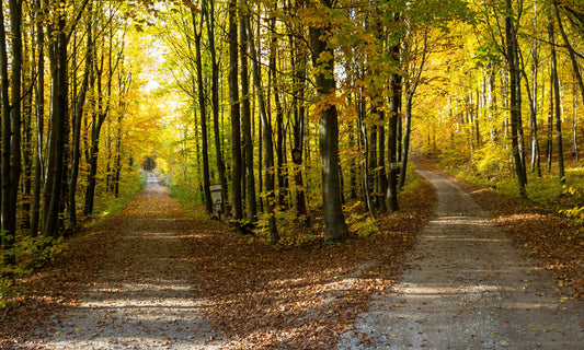 How to Actually Switch Off on Fridays